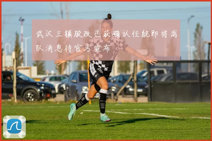武汉三镇股改已获确认任航即将离队消息待官方宣布